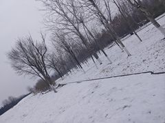 -汉长安城未央宫国家考古遗址公园