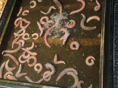 -永红源啤酒·烧烤·海鲜·大排档(青特城店)