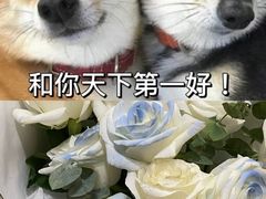 -T館·花园艺术餐厅