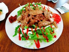 烤鸡肉饭-土耳其卡巴布清真餐厅(西安店)