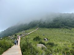 -野三坡百草畔景区