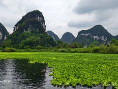 -靖西鹅泉风景区