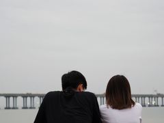 -宝安西湾红树林湿地公园