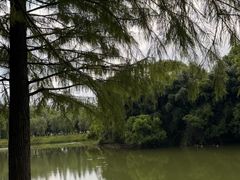 -艾溪湖湿地公园