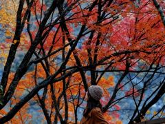 -叠溪松坪沟景区