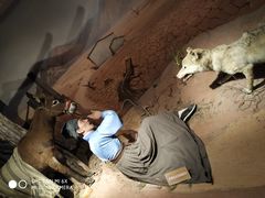 -陕西自然博物馆