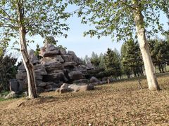 -羊亭河湿地公园