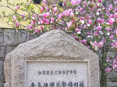 -青岛德国总督楼旧址博物馆