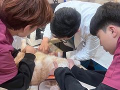 -艾贝尔宠物医院·24H转诊中心·肿瘤猫专科(江宁双龙店)