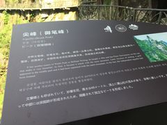 -大明山自然探索公园