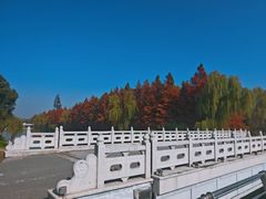 -阳澄湖半岛旅游度假区