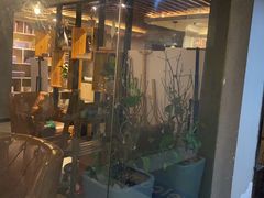 -梵猫·新养生(福州万象城店)