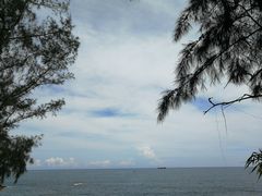 -广东惠东海龟国家级自然保护区