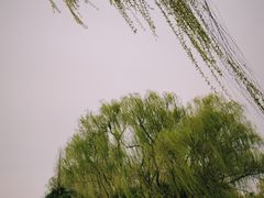 -洛阳市隋唐城遗址植物园
