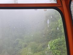 -缙云山景区