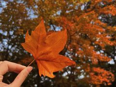 -湖南烈士公园(芙蓉区)
