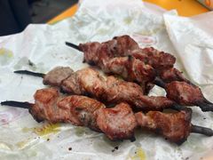 -艾力江和田馕坑烤肉店