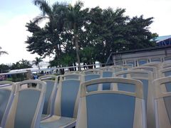 -Big Bus Tours 敞篷观光巴士