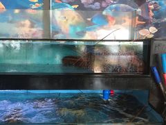 -亚龙湾中心广场