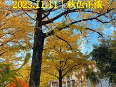 -长兴八都岕景区
