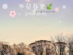 -颐和园