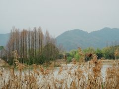 -河姆渡遗址博物馆
