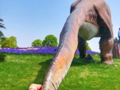 -南通洲际绿博园