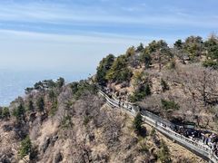 -泰山风景名胜区