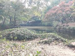 -秋霞圃