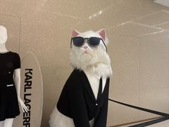 -观音桥步行街