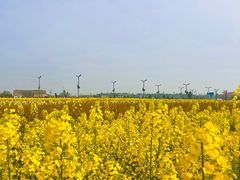 -中国天府农业博览园