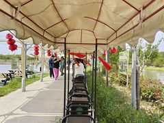 -嘉北郊野公园