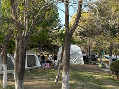 -莫子山公园