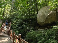 -大岭沟猕猴桃谷风景区