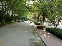 -首都师范大学科德学院