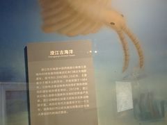 -云南省博物馆