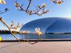 -国家大剧院