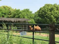 -常州淹城野生动物世界