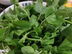 -大龙燚火锅(春熙店)