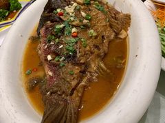 -老长春肉馆(创业大街店)
