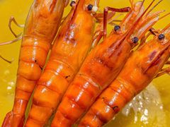 -喜聚薈·花膠雞海鮮火鍋(越秀店)