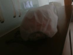 -觅糖派对·宝宝宴生日宴一站式派对策划(河西店)