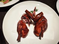 -甄御•海鲜新青岛菜(麦岛店)