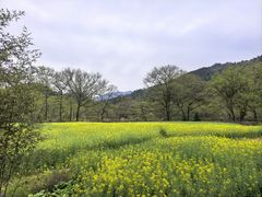 -寨沙侗寨(侗族歌堂)