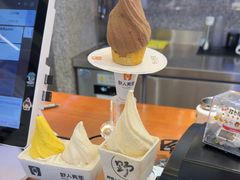 -野人先生Gelato(上海长宁龙之梦店)