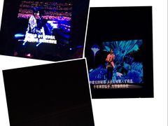 -南京奥林匹克体育中心-体育馆