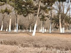-莫子山公园