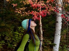 -五营红松林海景区