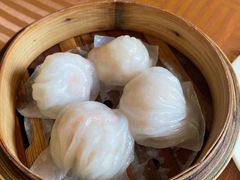 新城虾饺皇-新城餐厅(吉祥北街店)