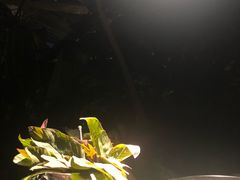 -汤山翠谷生态餐厅
